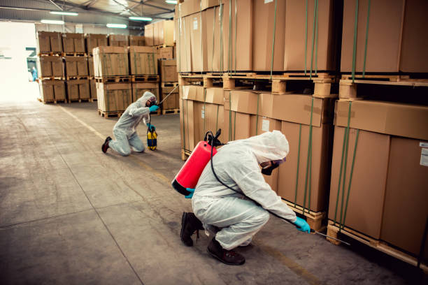 Reliable Loyola, CA Pest Control Solutions